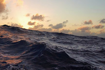 The Ocean's Carbon Balance