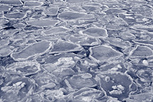 Climate Clues in the Ice (DAAC Study)