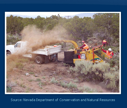 Nevada Jobs Converting Hazardous Forest Fuels into Green Energy