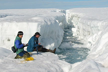 Breakup of the Ward Hunt Ice Shelf (DAAC Study)