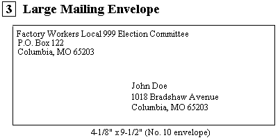 return ballot envelope - large envelope