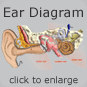 ear diagram