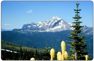 Heaven's Peak in Glacier National Park (Photo Credit: Glacier National Park)