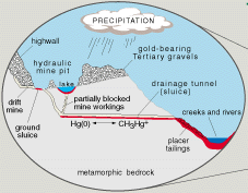 Transport schematic