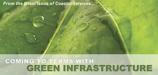Coming to Terms with Green Infrastructure
