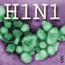 Info about H1N1 Virus at America.gov