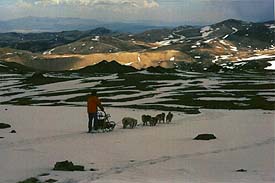 Sled dogs cross the White Mountains in May, 1999