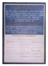 [Photograph of Albert Szent-Gyorgyi's Nobel Prize diploma (page 2)]. 28 October 1937.