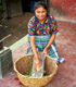 Woman Shells corn for tortillas