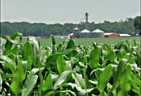 conservation easement