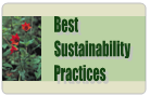 Best Sustainability Practices
