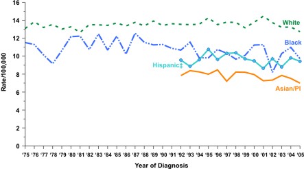 Line chart showing the changes in leukemia incidence rates for people of various races and ethnicities from 1975 to 2005.