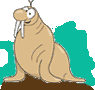 Cartoon endangered walrus species.