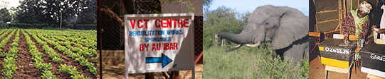 Photo Collage: farmland,health center, Kenyan wildlife and an industrial worker 