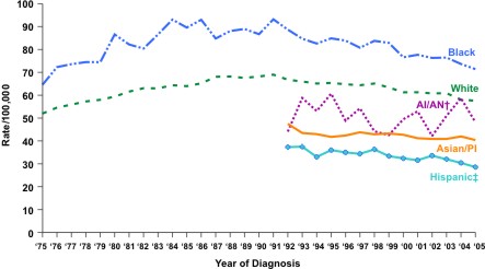 Line chart showing the changes in lung cancer incidence rates for people of various races and ethnicities.