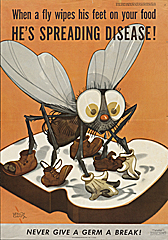 Image of  When a fly wipes his feet on your food, he’s spreading disease! 1944 Poster