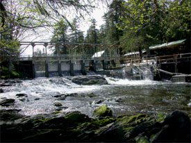 Sashin Creek Weir