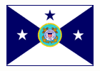 Vice Commandant Flag