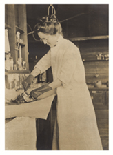 [Ruby Cunningham opening a dog's head at the California State Hygienic Laboratory]. June 1912.