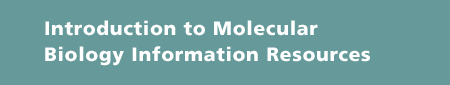 Introduction to Molecular Biology Information Resources