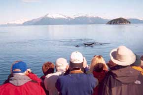 Whale watching in southeast Alaska. Photo: Larry Petersen