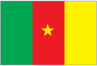 Flag of Cameroon