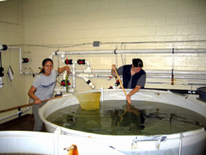 Students in laboratory at end of an experiment.