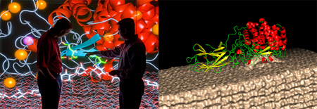 Protein Dynamics at ORNL