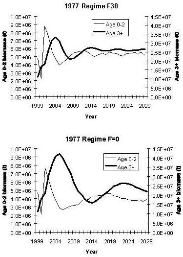 Charts of walleye pollock juvenile median biomass trajectories.