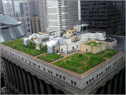 Photo of the roof of the Chicago City Hall in summertime with gardens showing green.