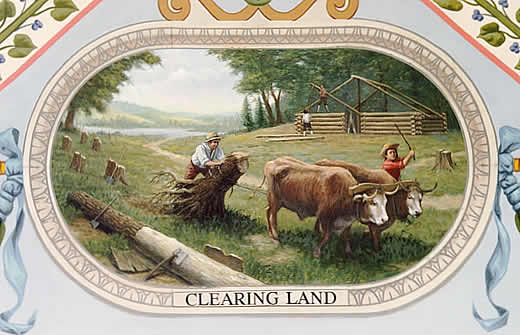 Clearing land