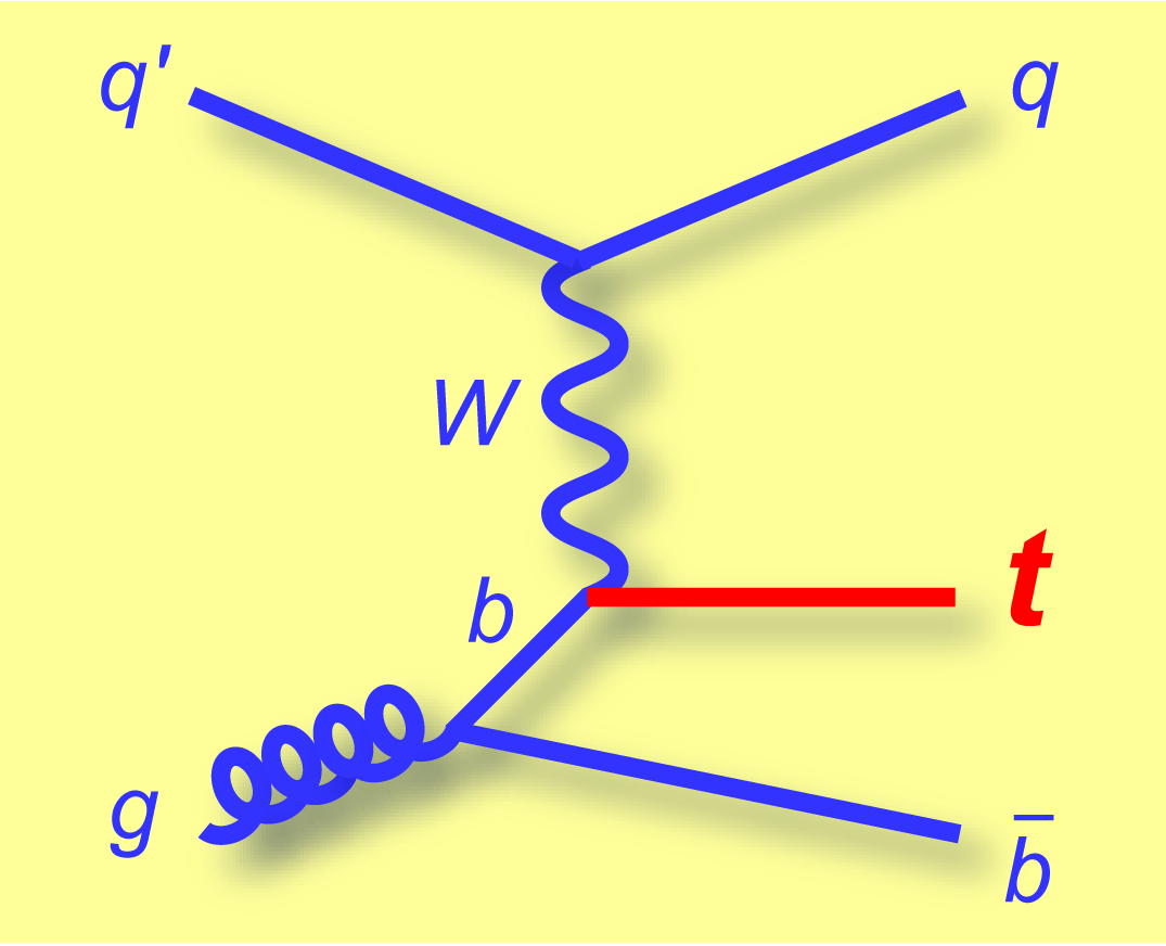 t-channel single top feynman diagram