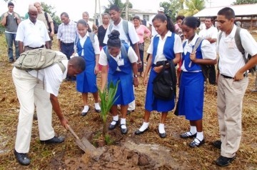 School children plant tree on site of Demonstration Farm