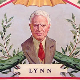 David Lynn