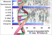 Illustration with a sample graph, people and a DNA-helix