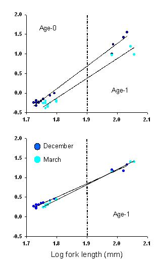 Graphs displaying energy allomet of juvenile capelin
