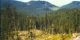 Cleared hillside in foreground with fringe of conifers in background.  More distant clearcuts also visible.