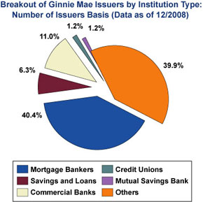 Breakout of Ginnie Mae Issuers by Institution Type Pie Chart