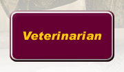 Veterinarian