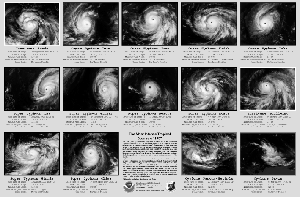 thumbnail image of tropical storm poster