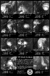 thumbnail image of tropical storm poster