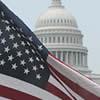 U.S. Flag and Capitol