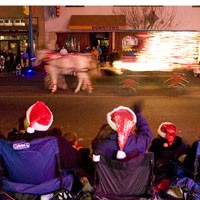 Twinkle Light Parade