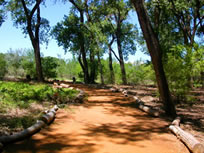 rio bravo riverside open space