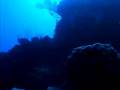 Cayman Islands Twilight Zone 2007: Extreme SCUBA Diving