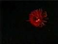 Operation Deep Scope 2005: Eye-in-the-Sea Bioluminescence