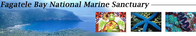 Fagatele Bay National Marine Sanctuary Banner Photo