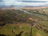 Typical wetland in Puget Sound that now faces 