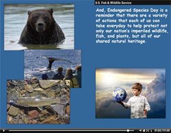 Endangered Species PSA video image. 