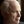 John McCain News